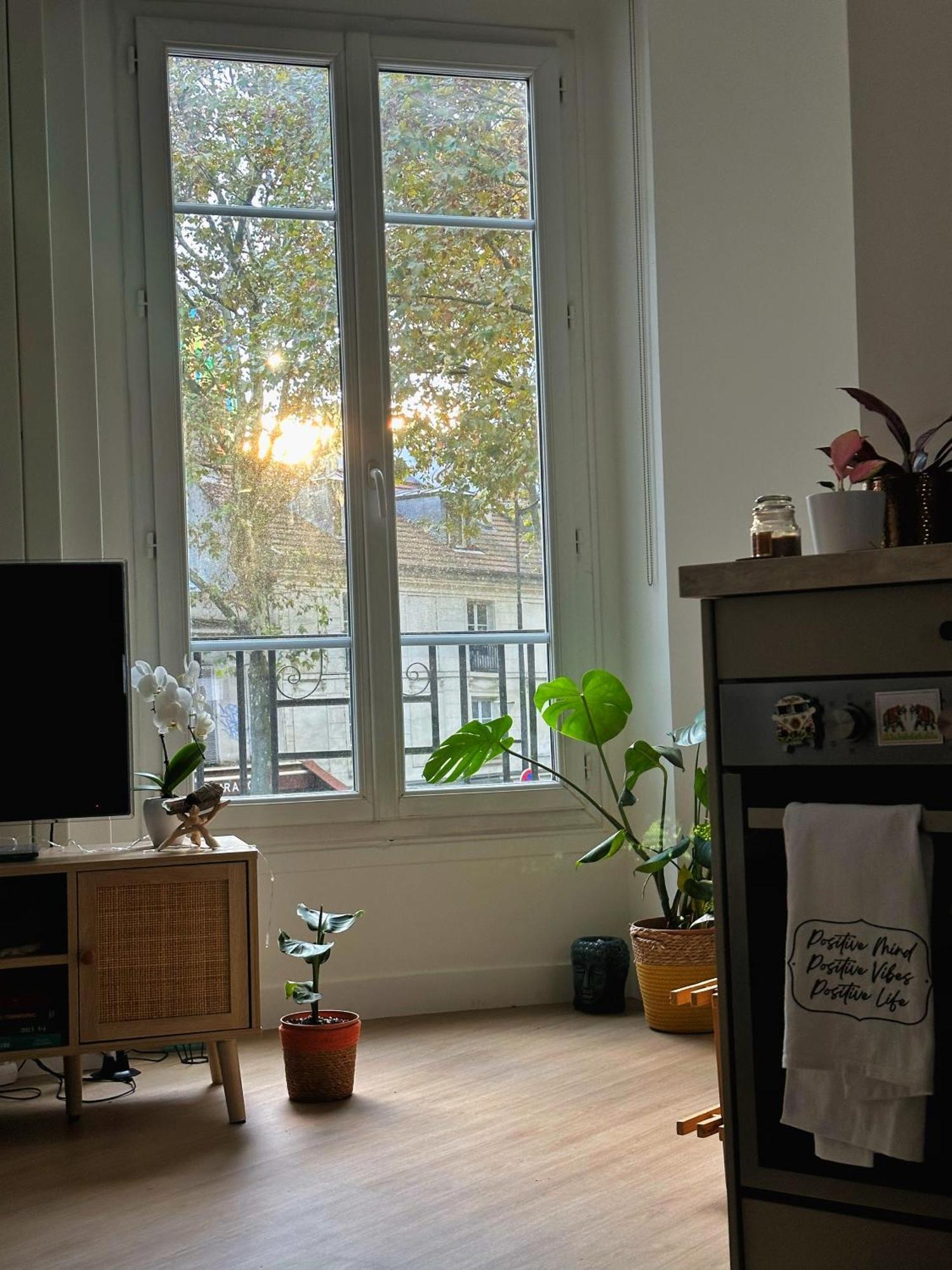 Appartamento Calme Et Cozy En Plein Parigi